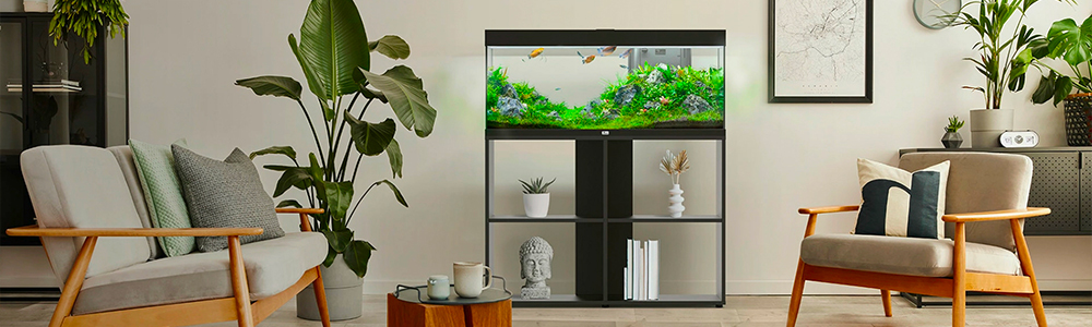Intérieur de maison design avec un aquarium prestige au milieu