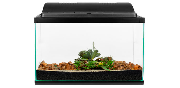 Cuve d'aquarium avec une couche de substrat nutritif, de sable et de plants et décorations