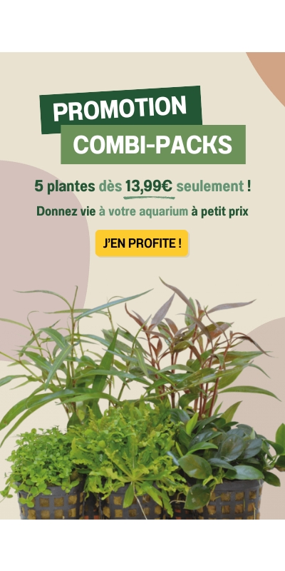 Promotion Combi-Packs