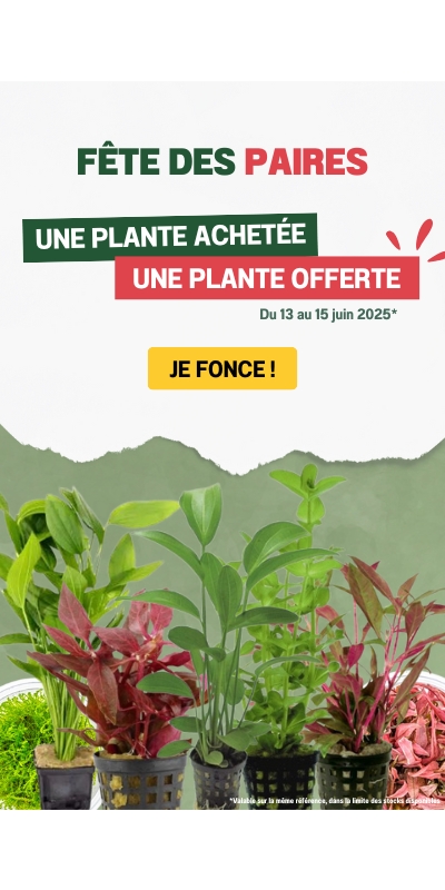 1 plante achetée = 1 plante OFFERTE