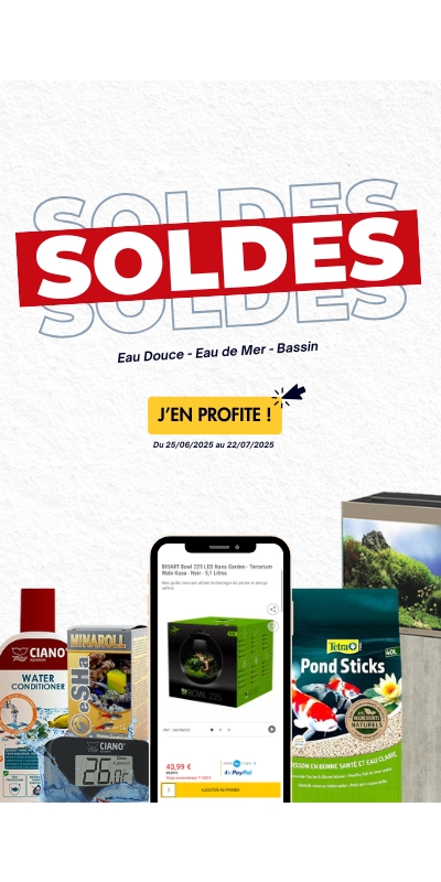 Bannière promo soldes été 2025