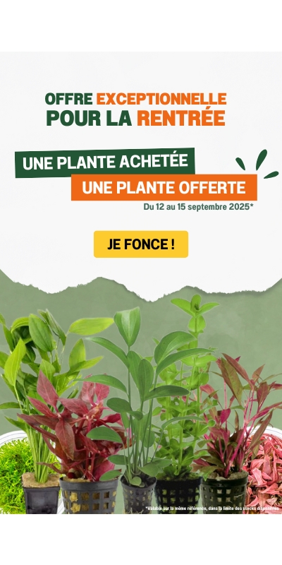 1 plante achetée = 1 plante OFFERTE