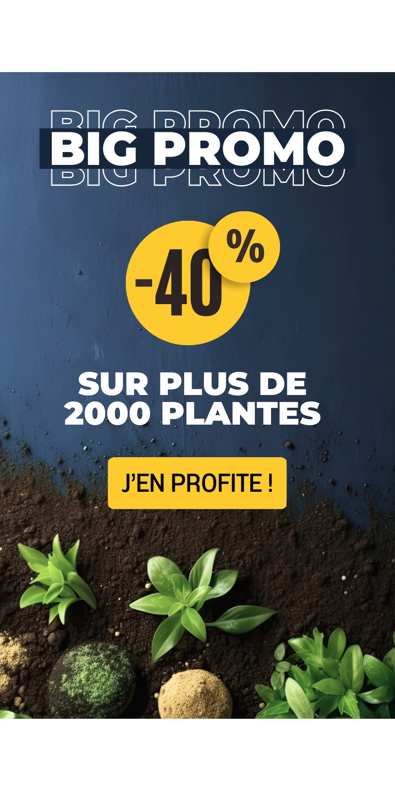 Bannière promo plantes catégorie nourriture