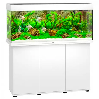 Aquariums d'eau douce - Ensembles complets