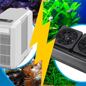  BLOG CONSEILS - Ventilateur / Groupe froid 