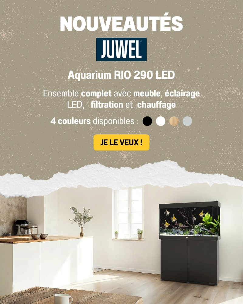 Bannière Nouveauté JUWEL Rio 290 Aqua Store Mobile