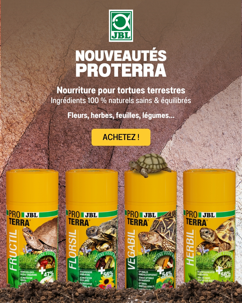 Nouveauté JBL Proterra Tortues Aqua Store Mobile