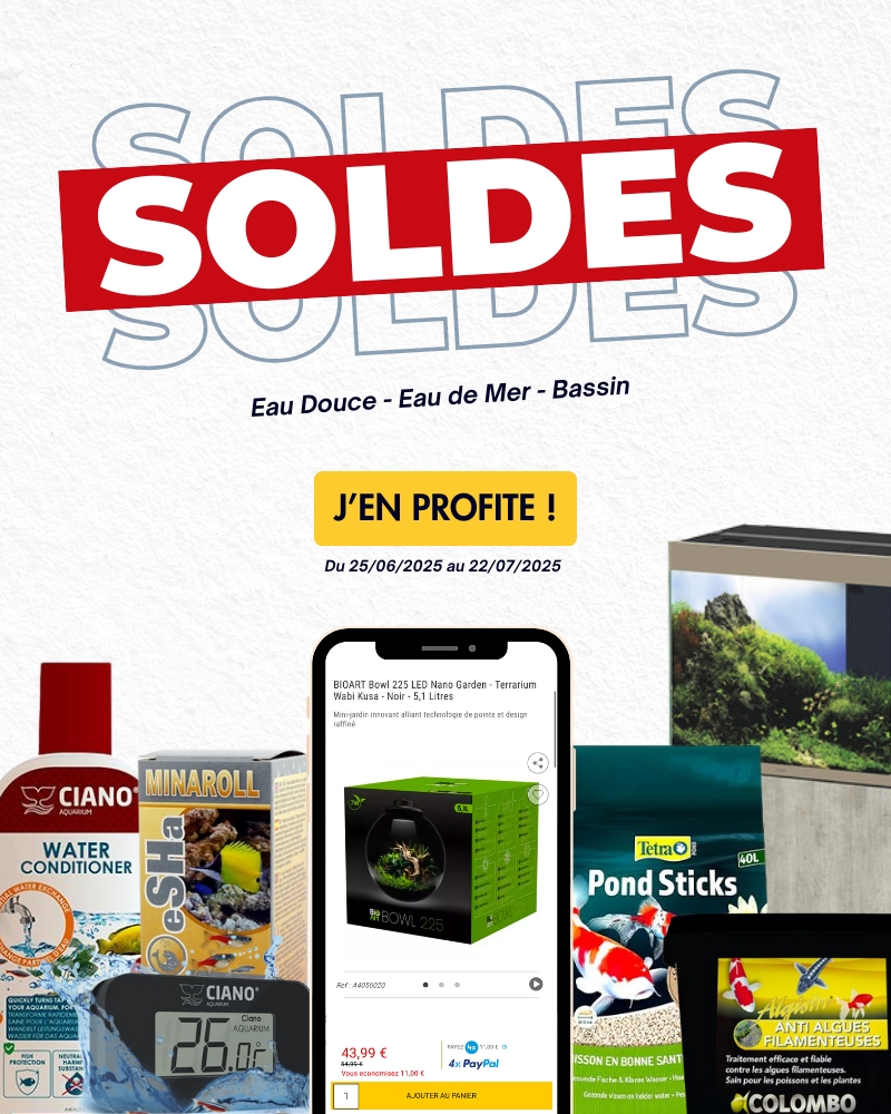 Soldes d'été 2025