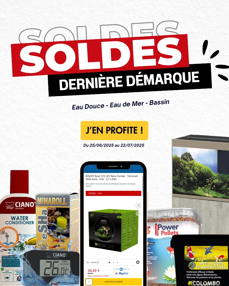 Soldes d'été 2025 dernière démarque