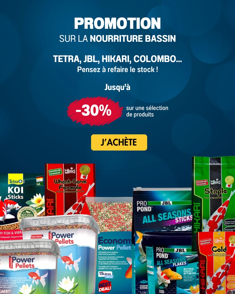 Bannière Aqua Store Promotion Nourriture Bassin Web