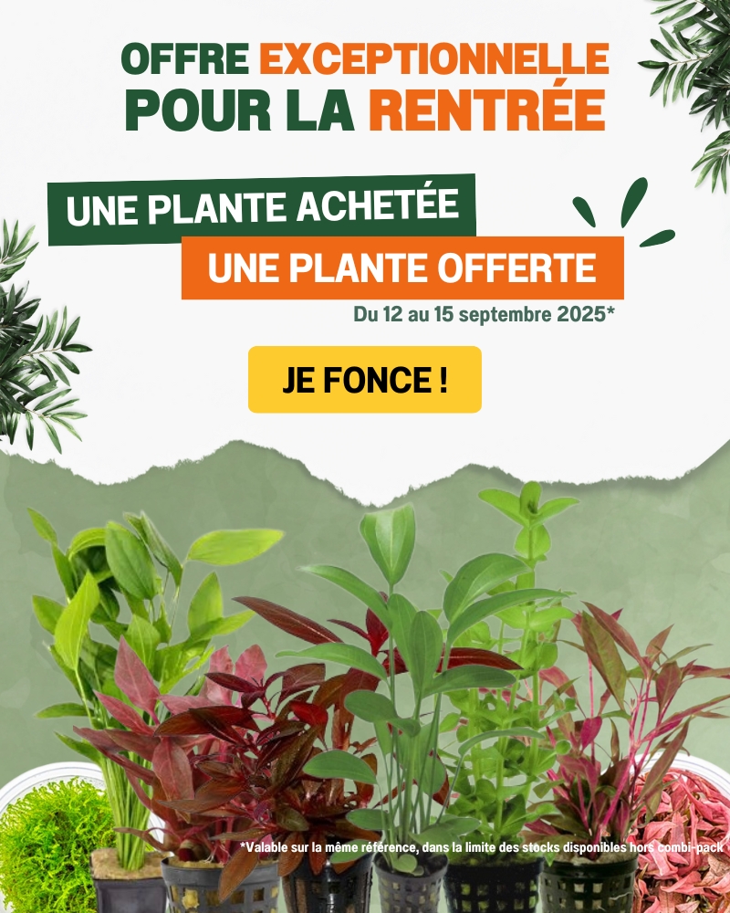 Bannière Aqua Store 1 plante achetée = 1 plante offerte Mobile