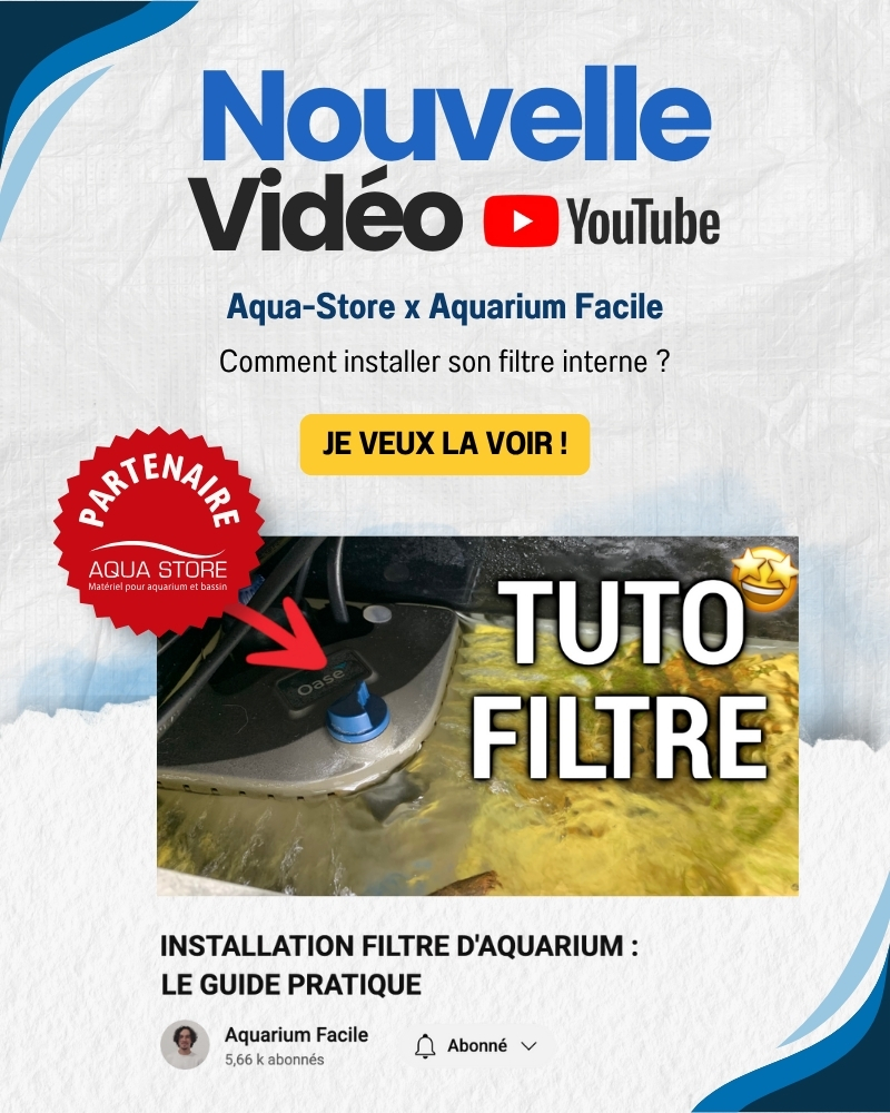 Vidéo en partenariat avec Aquarium Facile et Aqua Store sur comment installer son filtre interne