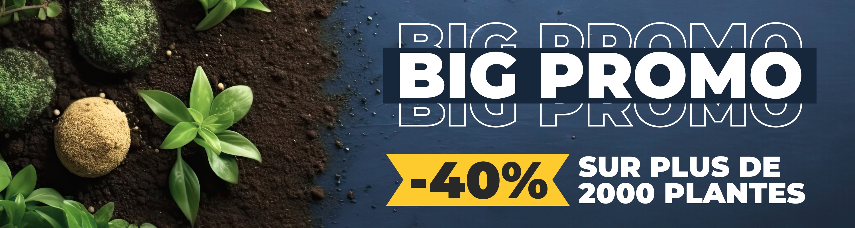 Bannière promo plantes web