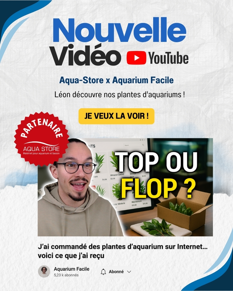 Vidéo en partenariat avec Aquarium Facile et Aqua Store sur les plantes d'aquarium