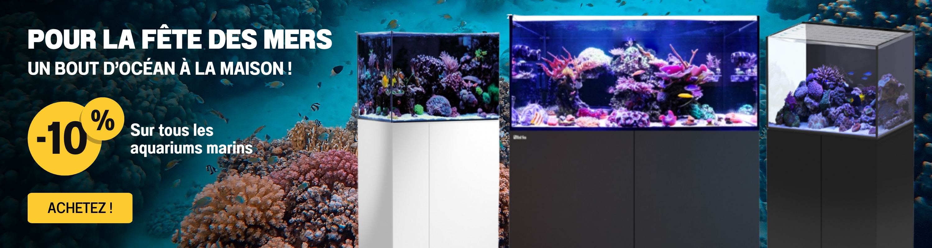 Bannière Pomo Aquariums Marine -10% Web