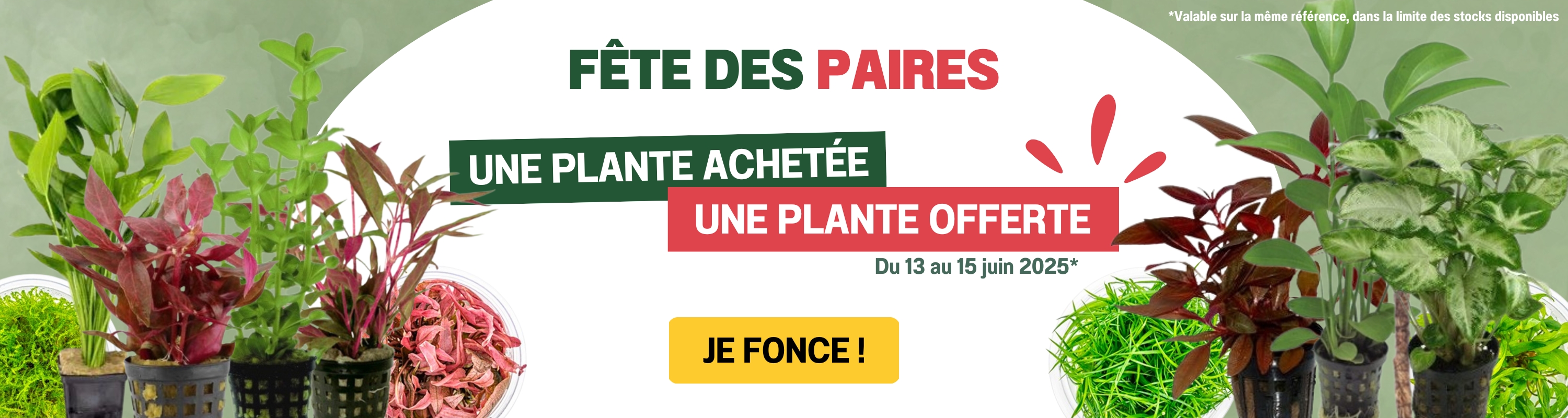 1 plante achetée = 1 plante OFFERTE