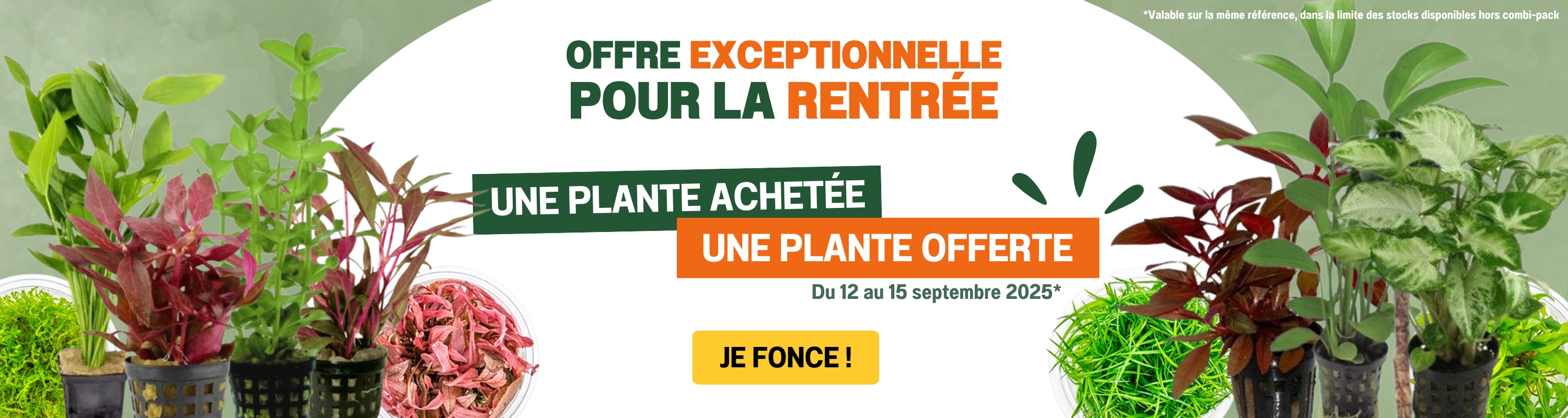 Bannière Aqua Store 1 plante achetée = 1 plante offerte Web