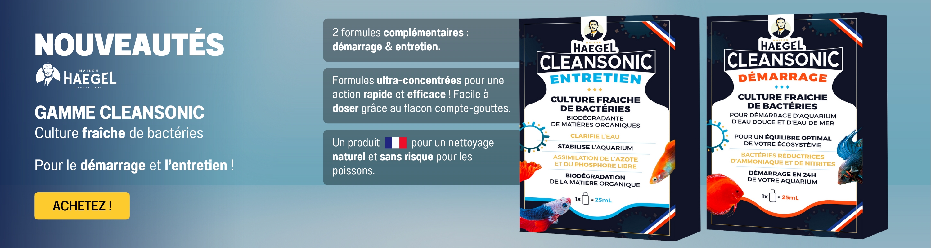 Annonce nouveautés bactéries CleanSonic Web 