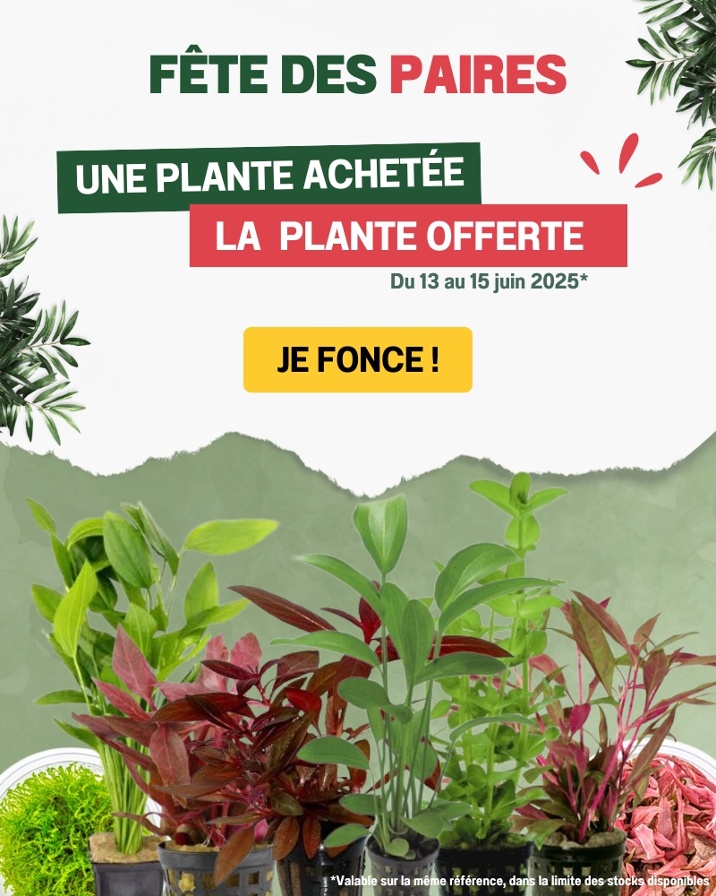 1 plante achetée = 1 plante OFFERTE