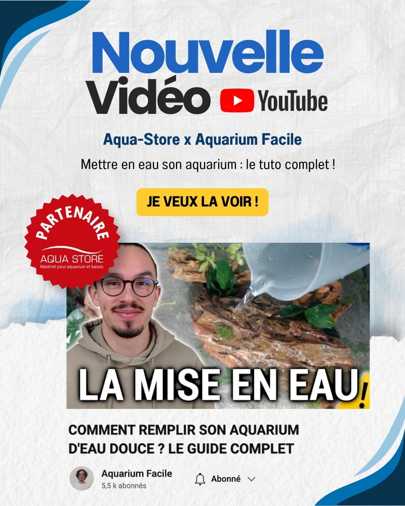 Vidéo en partenariat avec Aquarium Facile et Aqua Store sur comment remplir son aquarium.