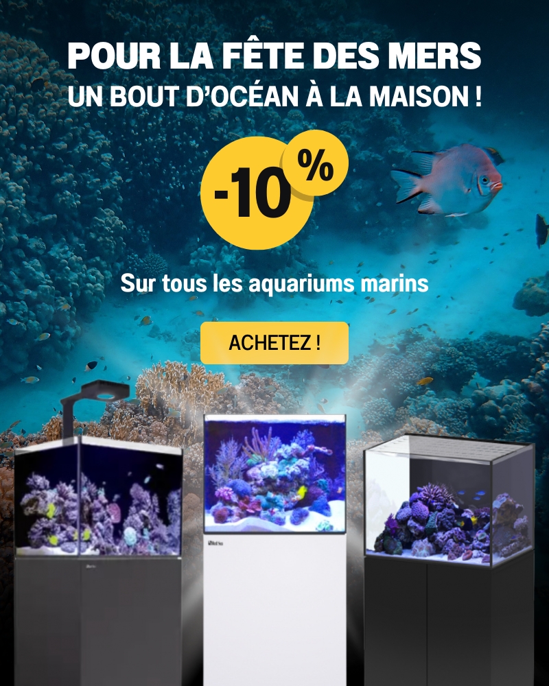 Bannière Pomo Aquariums Marine -10% Web