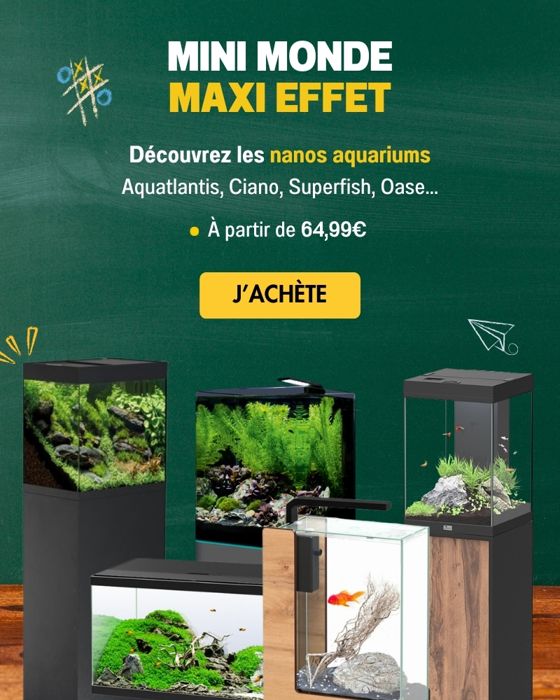 Bannière Aqua Store Nanos Aquariums Rentrée Mobile
