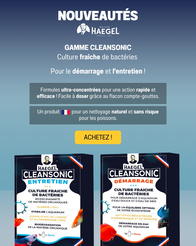 Annonce nouveautés bactéries CleanSonic Mobile 