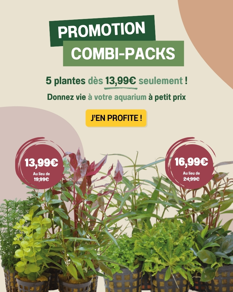 Promotion Combi-Packs