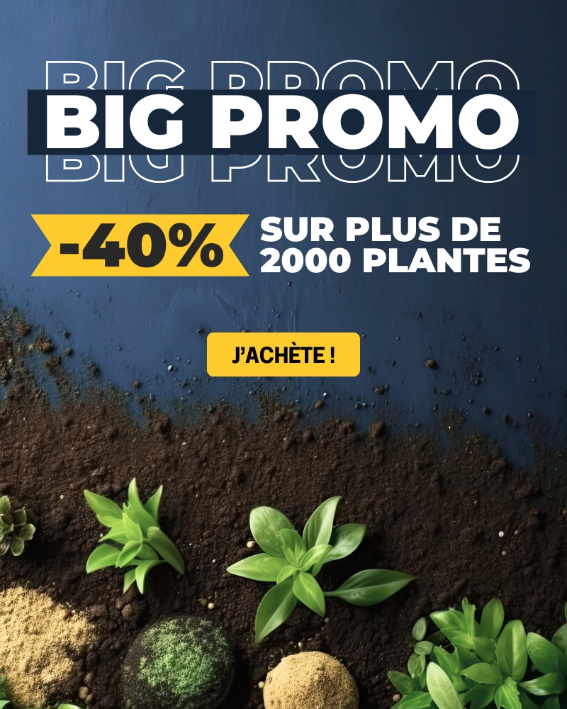 Bannière promo plantes mobile